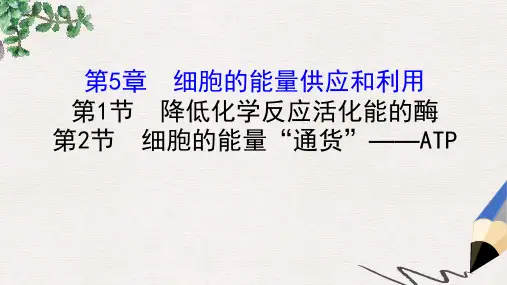 人教版生物必修1第5章《细胞的能量供应和利用》(第1-2节)ppt课件
