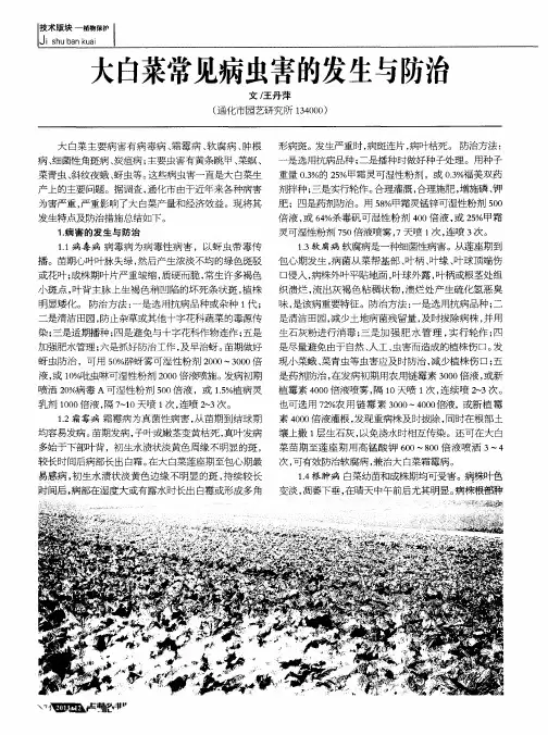 大白菜常见病虫害的发生与防治
