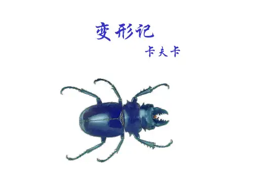 统编版高中语文必修下册 《变形记》(节选) PPT课件 29张