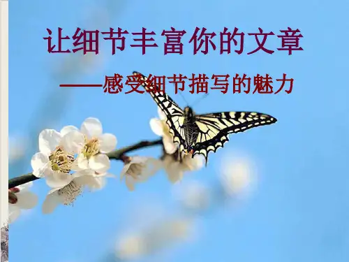 人教部编版九年级下册写作《修改润色》精品课件(共28张PPT)