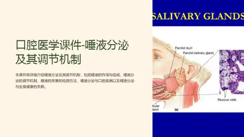 口腔医学课件-唾液分泌及其调节机制