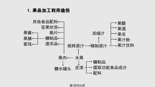食品原料学果蔬原料素材PPT课件