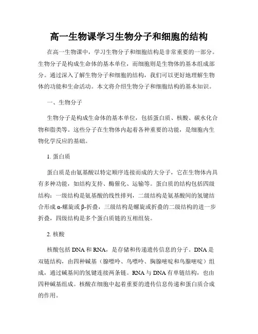 高一生物课学习生物分子和细胞的结构