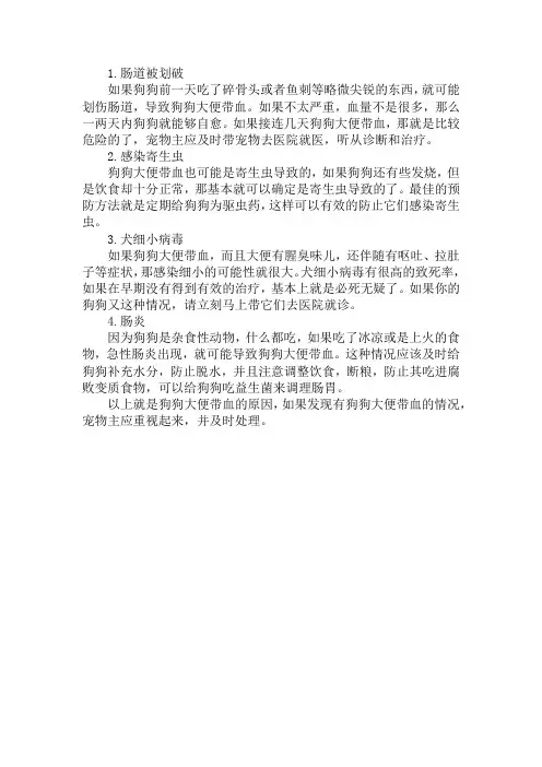 狗狗大便里有血是怎么回事
