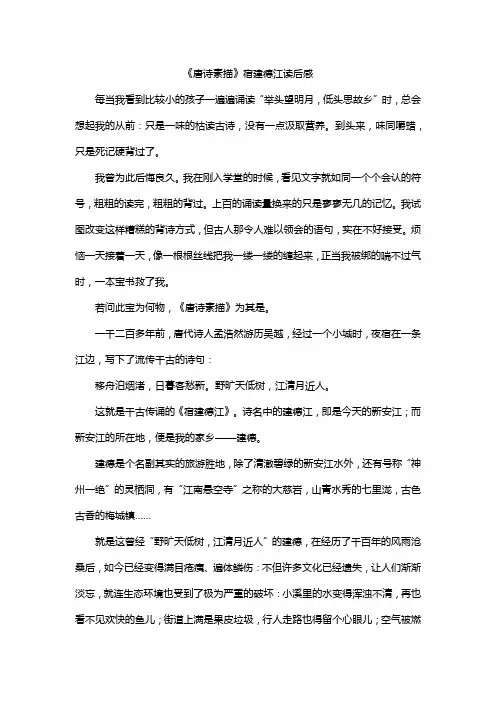 《唐诗素描》宿建德江读后感