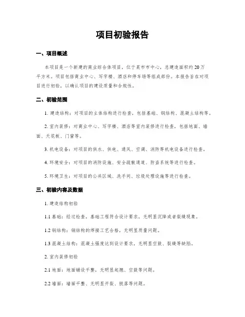 项目初验报告