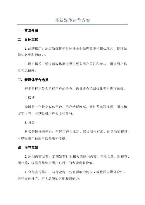 某新媒体运营方案