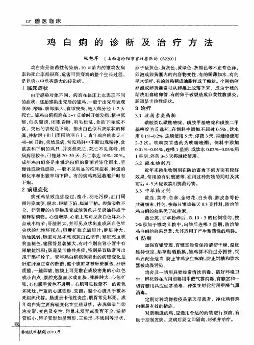 鸡白痢的诊断及治疗方法
