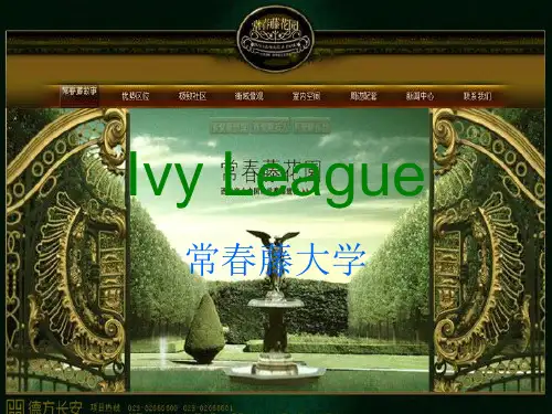 IVY League (常青藤)