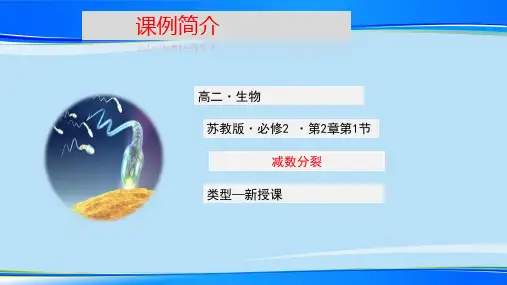 苏教版高中生物必修二第二章减数分裂课件 (共25张PPT)