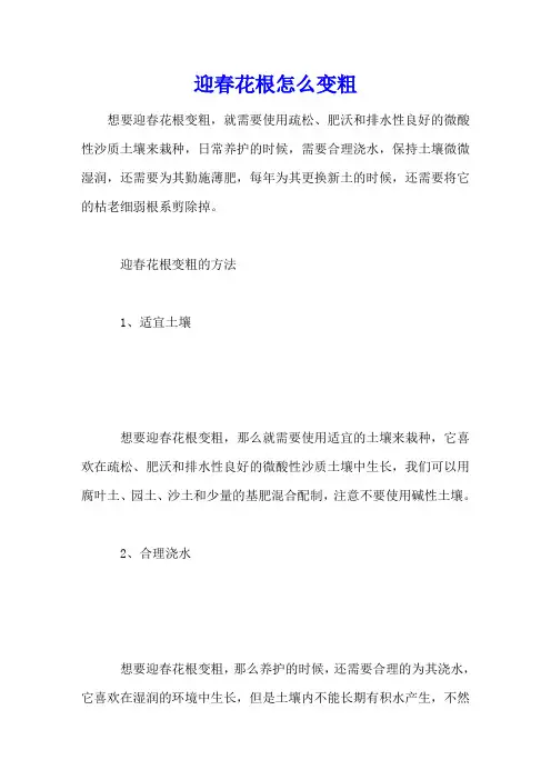 迎春花根怎么变粗