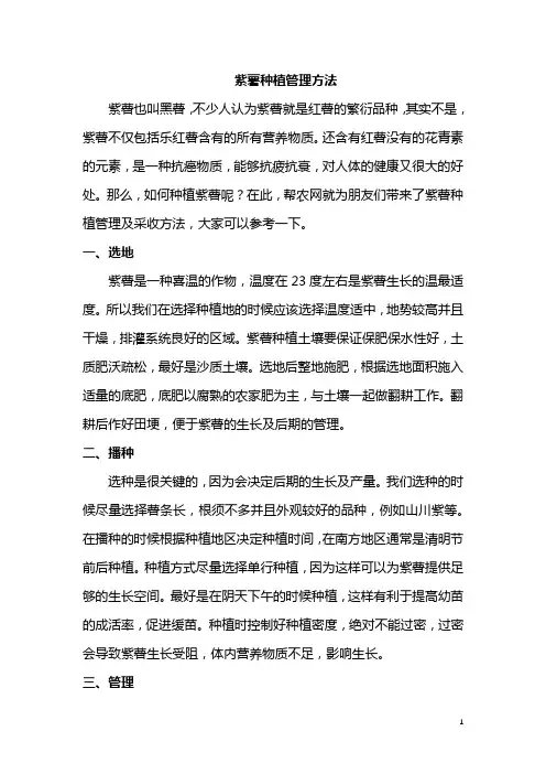 紫薯种植管理方法