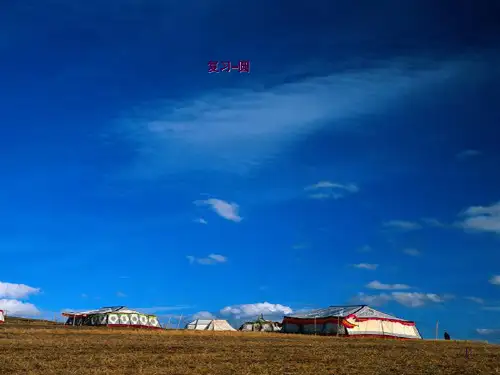 圆的复习ppt课件