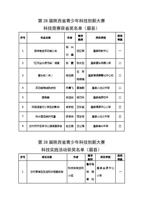 第28届陕西青少年科技创新大赛
