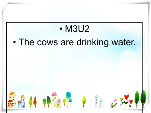 外研社(三起)小学英语六年级下册Module3 Unit2 The cows are drinkin