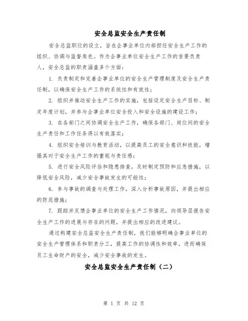 安全总监安全生产责任制（五篇）