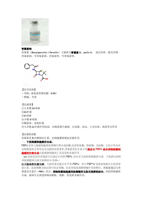 青霉素钠药理学基础