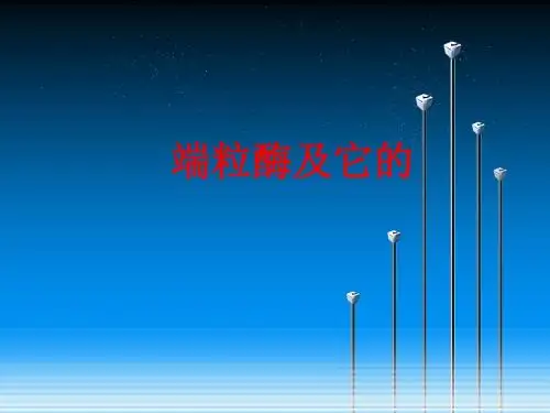 [课件]端粒酶及它的PPT