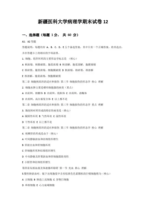 新疆医科大学病理学期末试卷12