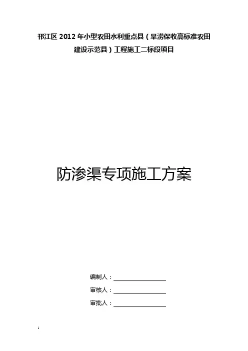 防渗渠专项施工方案