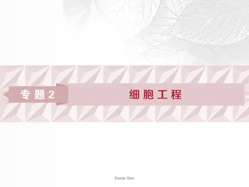 2019年春高中生物细胞工程2.1植物细胞工程2.1.1植物细胞工程的基本技术课件新人教版选修