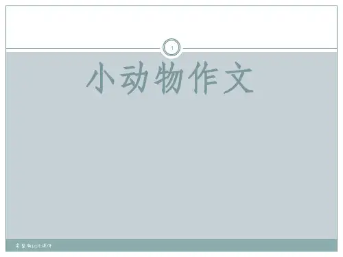 作文指导小动物作文ppt课件 (2)