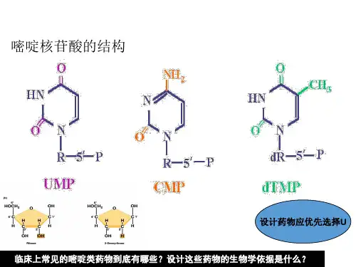 嘧啶类抗肿瘤药物-PPT文档