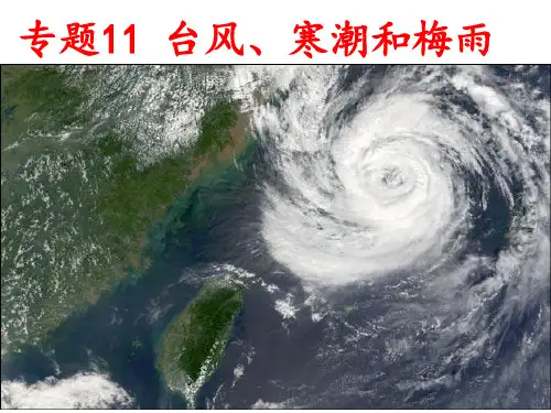 专题11 台风、寒潮和梅雨
