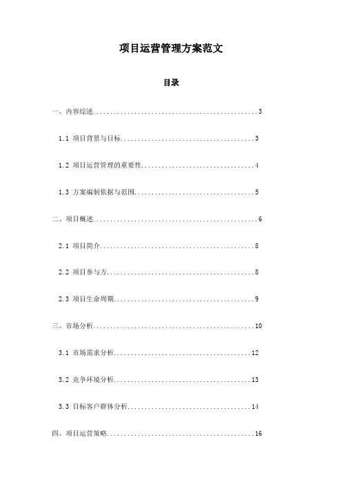 项目运营管理方案范文