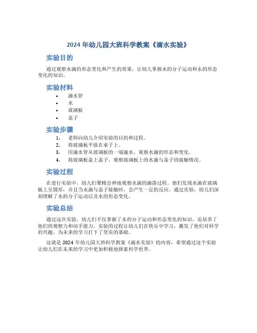 2024年幼儿园大班科学教案《滴水实验》