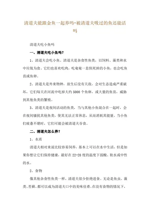清道夫能跟金鱼一起养吗-被清道夫吸过的鱼还能活吗