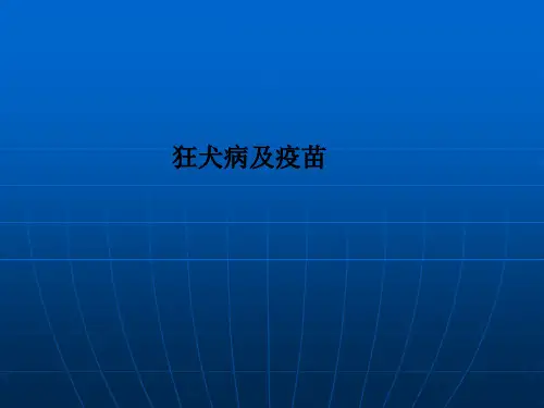 狂犬病及疫苗PPT课件