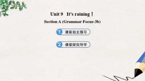 【推荐】六年级英语下册 Unit 9 It’s rainingSection A(Grammar Focus-3b)课件 鲁教版五四制