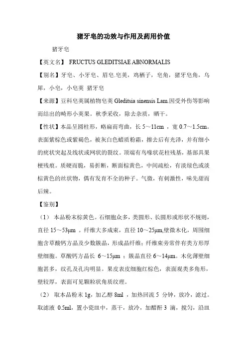 猪牙皂的功效与作用及药用价值
