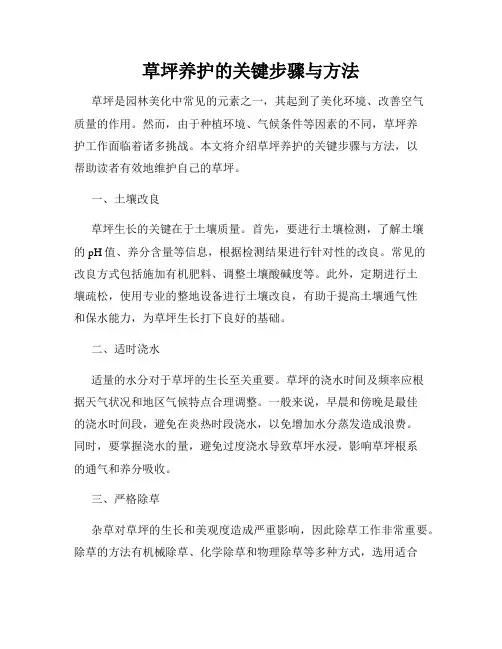 草坪养护的关键步骤与方法