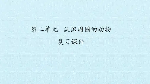 青岛版(五四制)科学一年级下册第二单元认识周围的动物复习课件