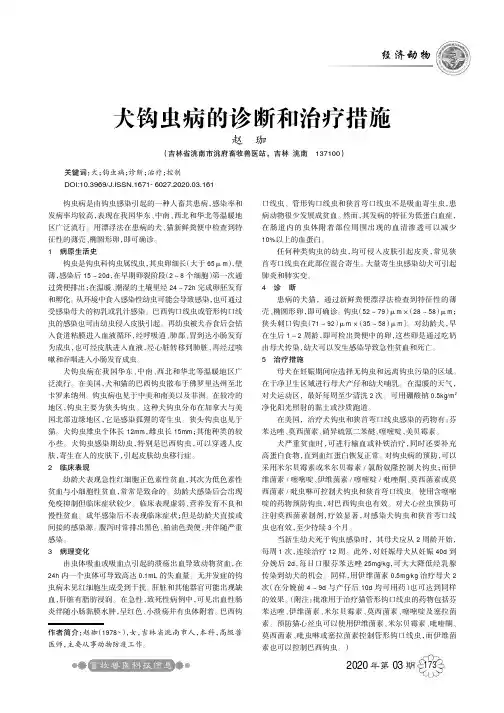 犬钩虫病的诊断和治疗措施
