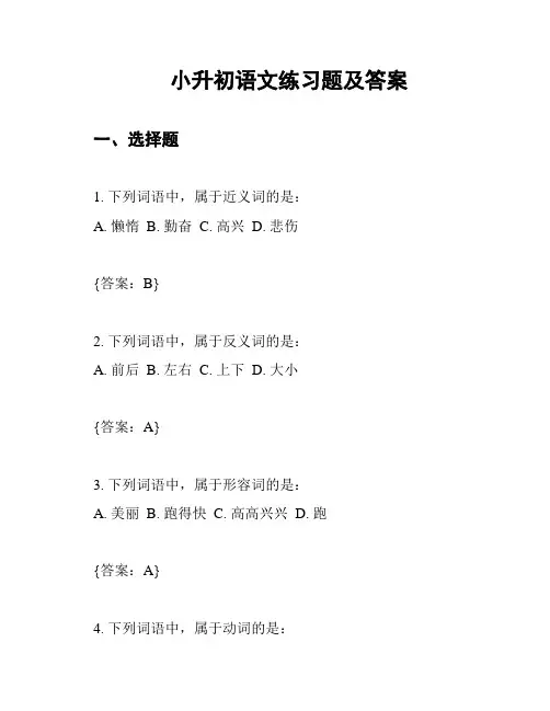小升初语文练习题及答案