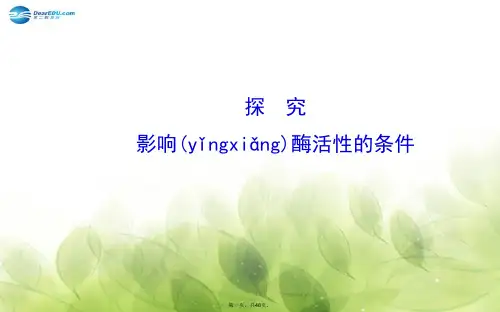 高考生物大一轮复习 第五章 影响酶活性的条件探究课件 新人教版必修1