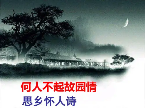 高考诗歌鉴赏专题_思乡怀人诗