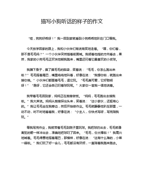 描写小狗听话的样子的作文
