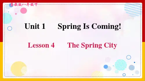 冀教版初中英语八年级下册《Unit 1 Lesson 4 The Spring City》课件