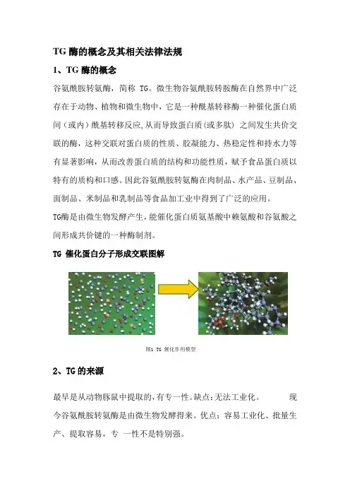 (整理)TG酶的特点、原理及使用工艺方法