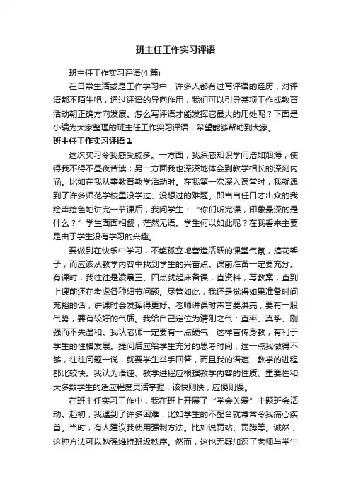 班主任工作实习评语