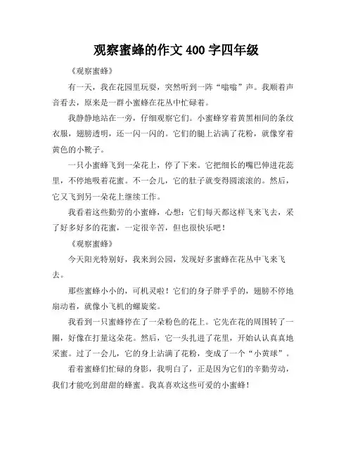 观察蜜蜂的作文400字四年级