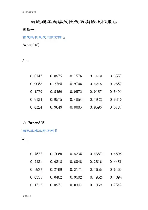大连理工大学线性代数实验上机报告材料