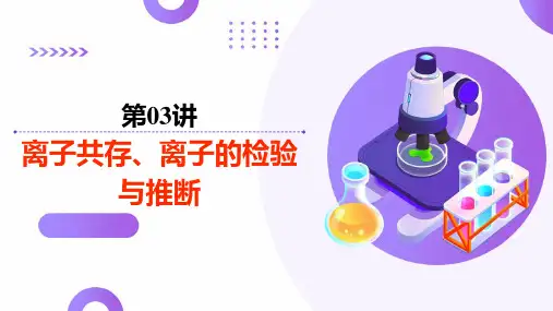第03讲 离子共存、离子的检验与推断(课件)-2025年高考化学一轮复习讲练测(新教材新高考)