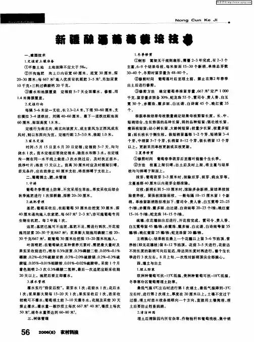 新疆酿酒葡萄栽培技术