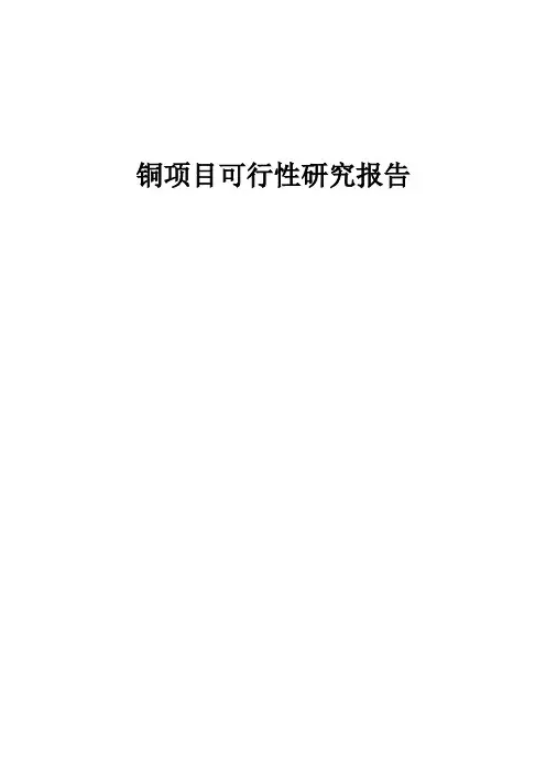铜项目可行性研究报告