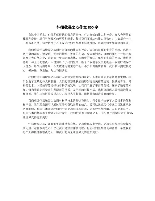 怀揣敬畏之心作文800字 2